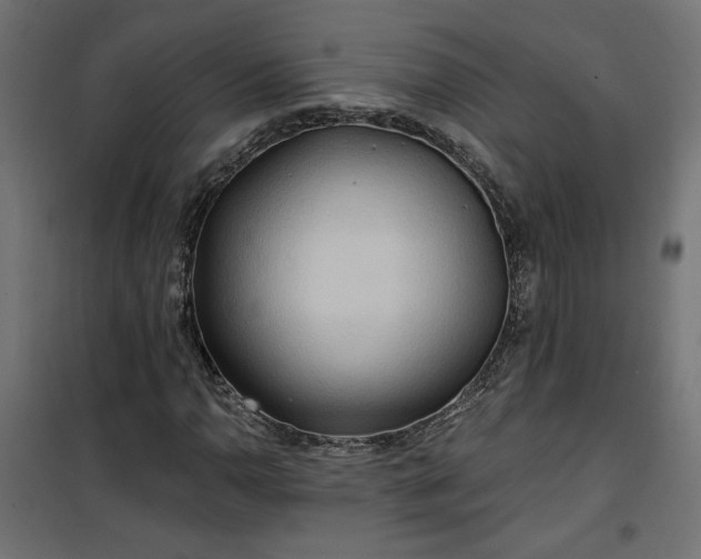 X0000100471110200806201600