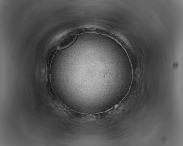 X0000100471111200806201600