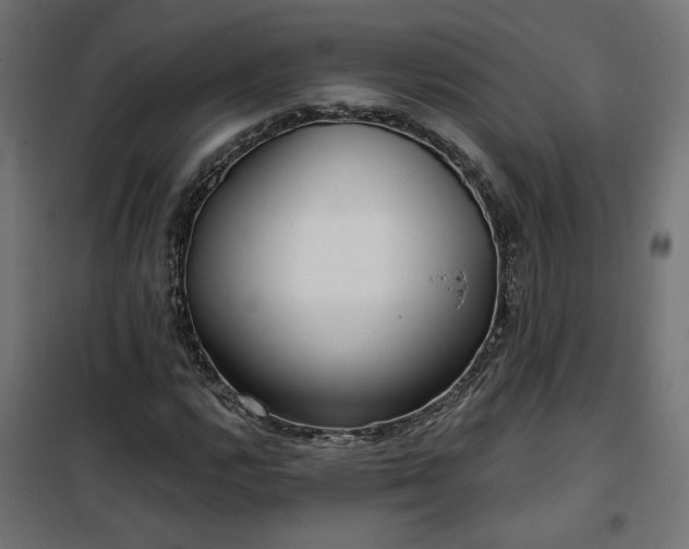 X0000100471112200806201600