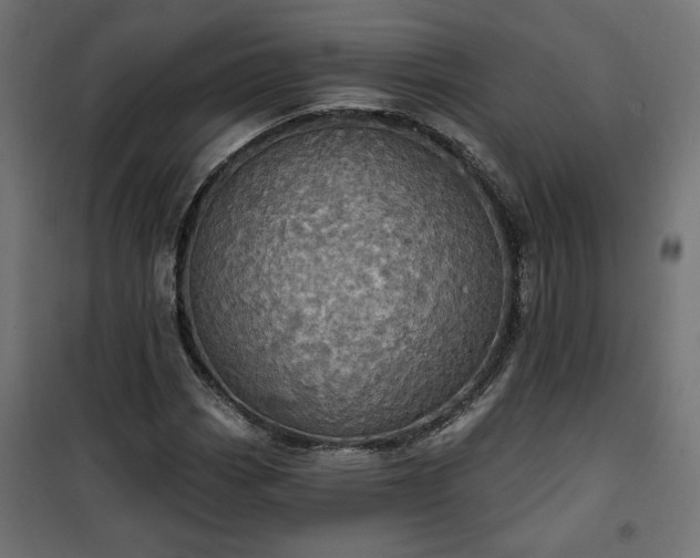 X0000100471113200806201600