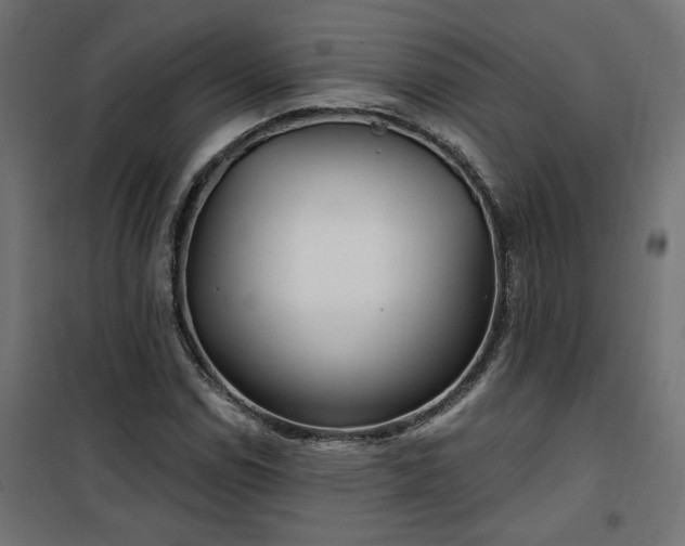 X0000100471114200806201600