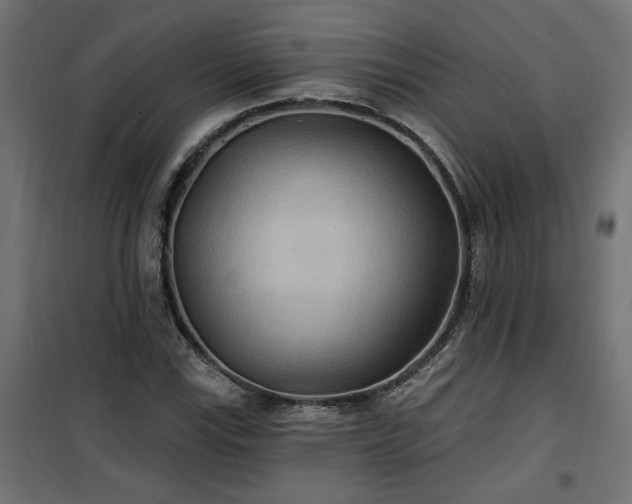 X0000100471115200806201600