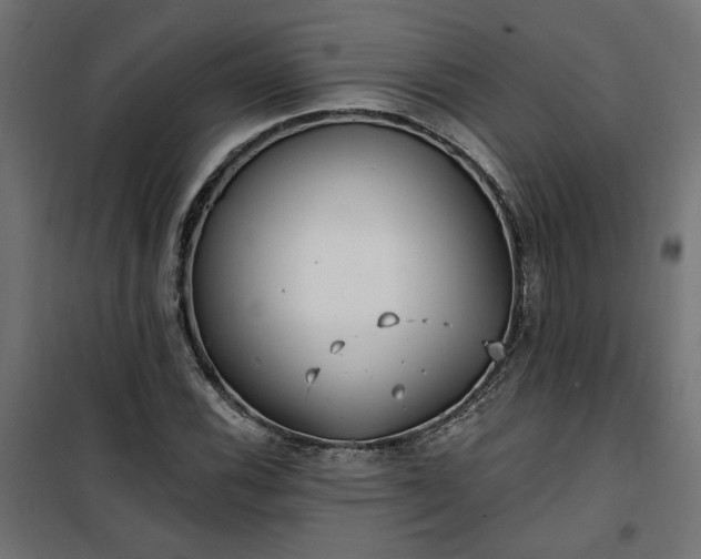 X0000100471116200806201600