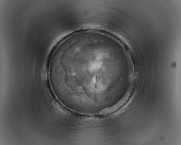 X0000100471117200806201600