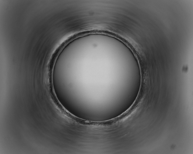 X0000100471118200806201600