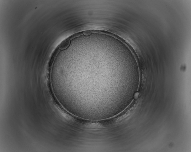 X0000100471119200806201600