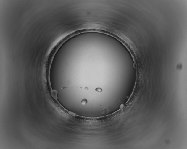 X0000100471120200806201600