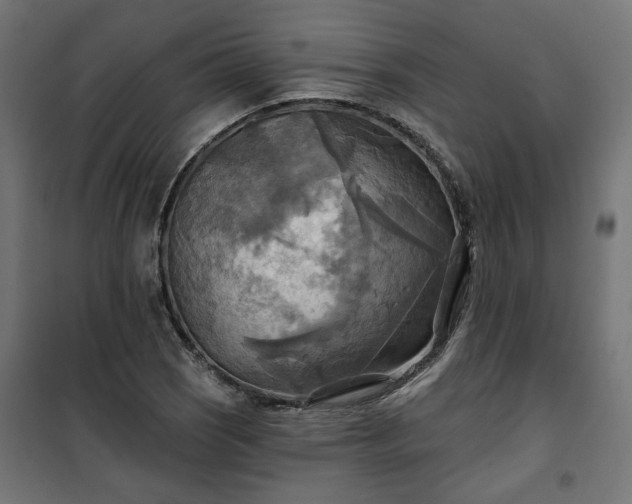 X0000100471121200806201600