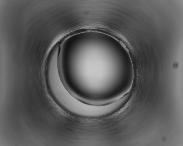 X0000100471122200806201600