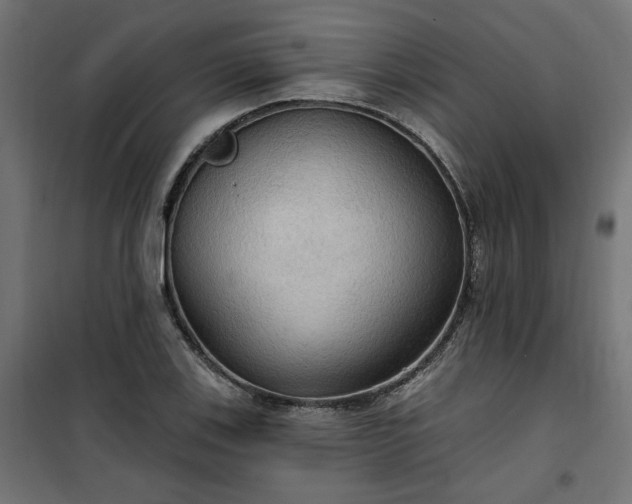 X0000100471123200806201600