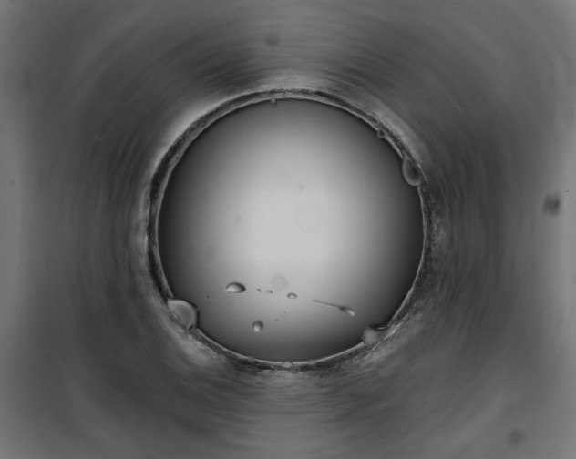 X0000100471124200806201600