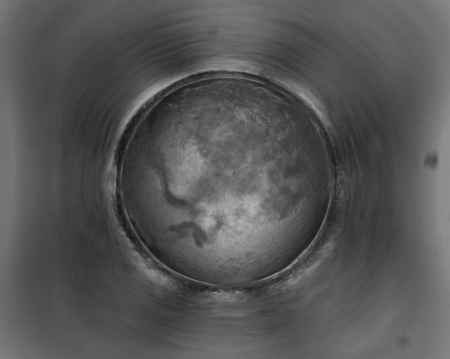 X0000100471125200806201600