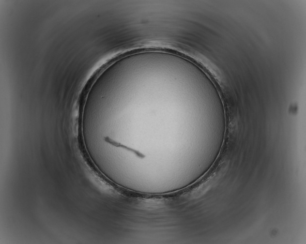 X0000100471126200806201600