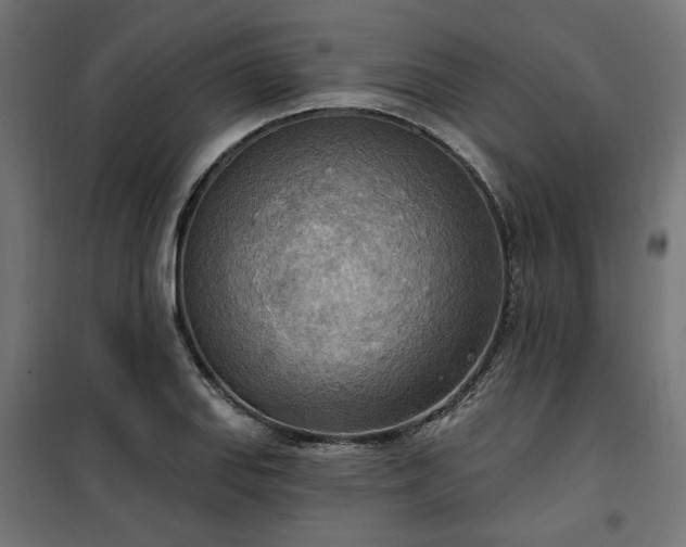 X0000100471127200806201600