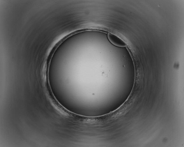 X0000100471128200806201600