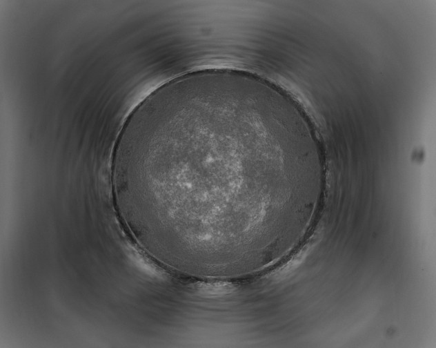 X0000100471129200806201600