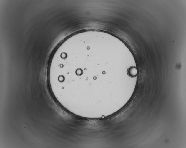 X0000100471130200806201600