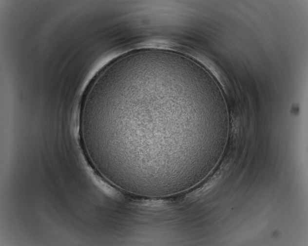 X0000100471131200806201600