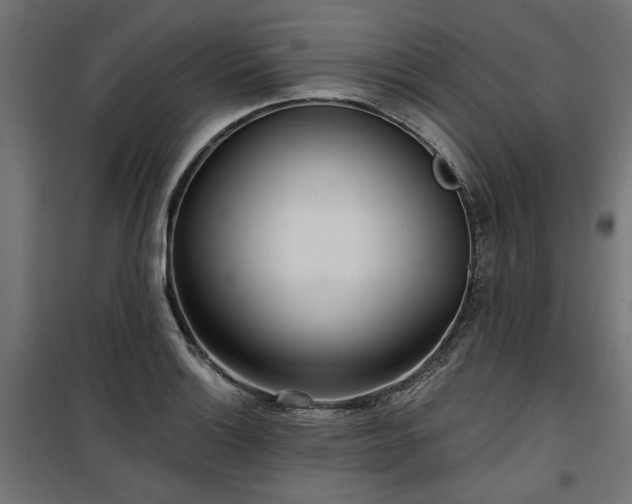 X0000100471132200806201600