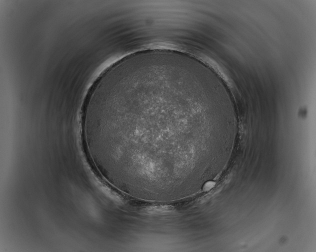 X0000100471133200806201600