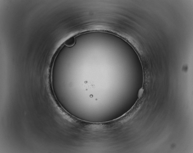 X0000100471134200806201600