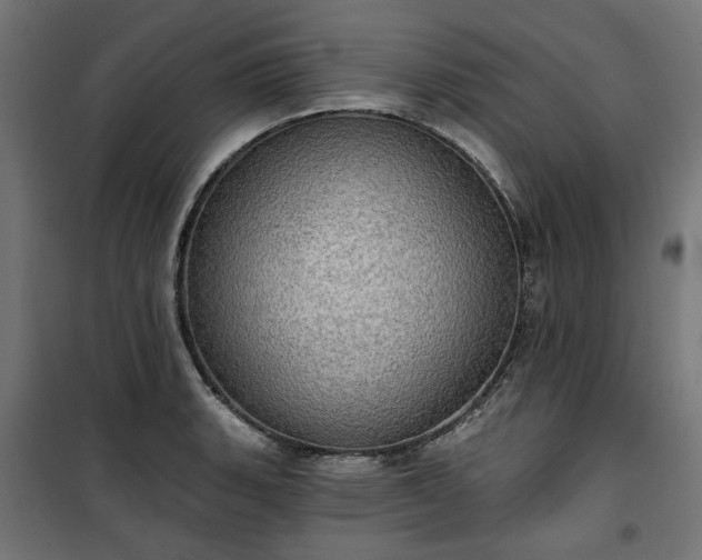 X0000100471135200806201600