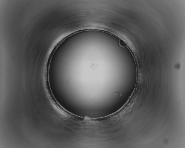 X0000100471136200806201601