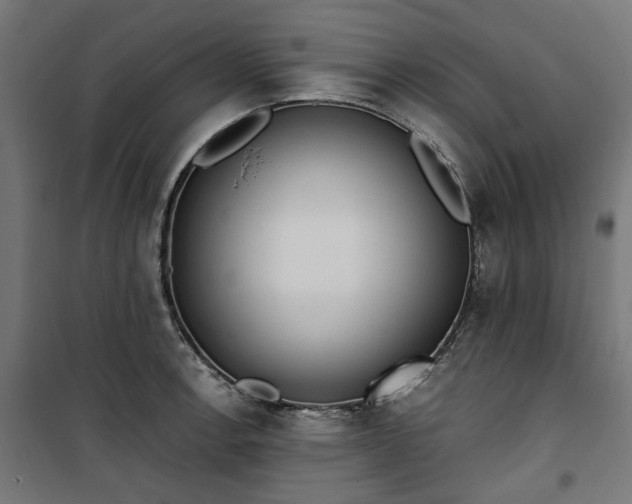 X0000100471138200806201601