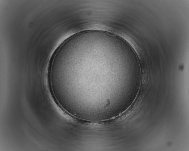 X0000100471139200806201601