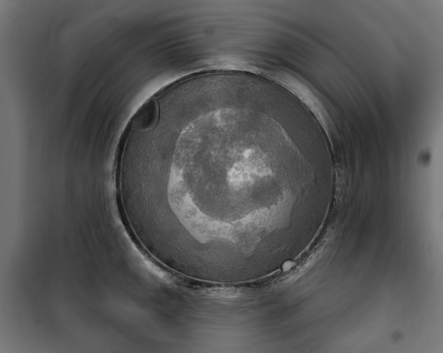 X0000100471141200806201601