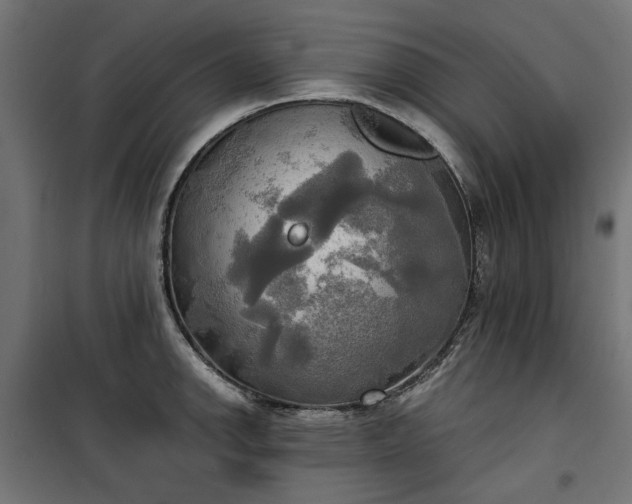 X0000100471142200806201601