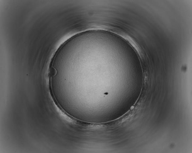 X0000100471143200806201601