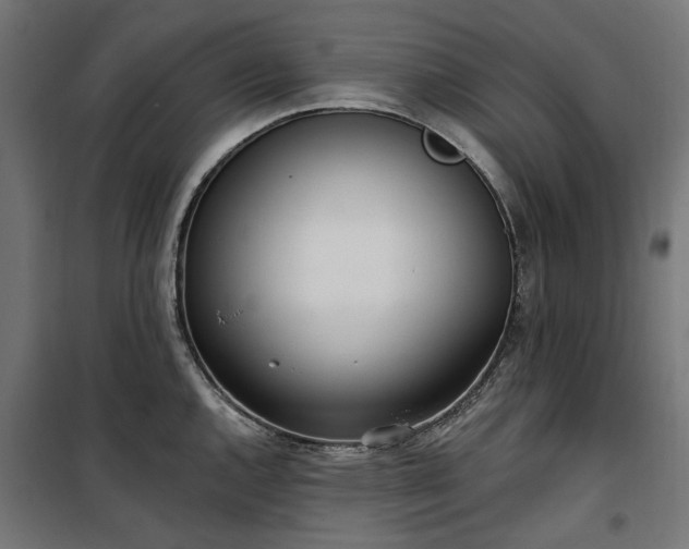 X0000100471144200806201601