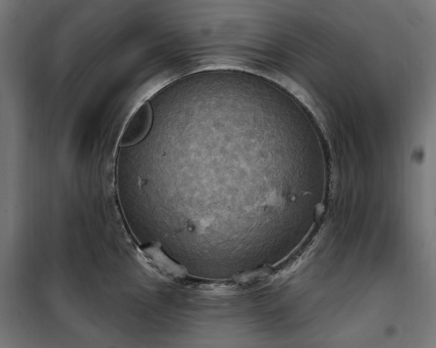 X0000100471145200806201601