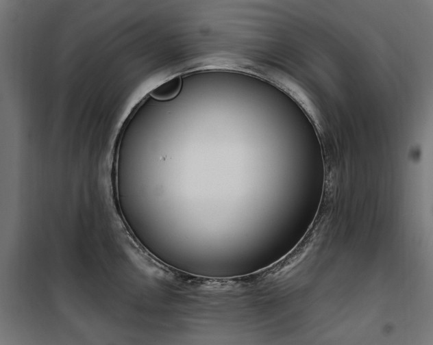 X0000100471146200806201601