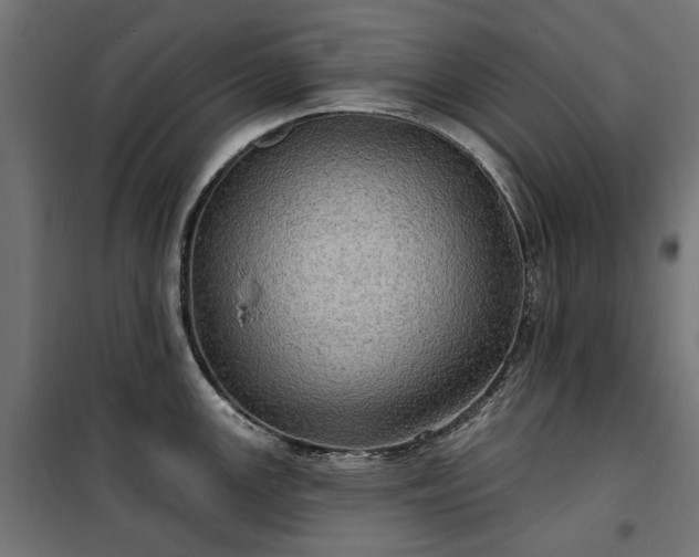 X0000100471147200806201601