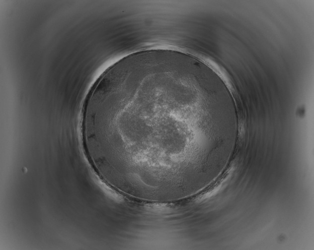 X0000100471149200806201601