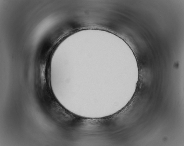 X0000100471150200806201601