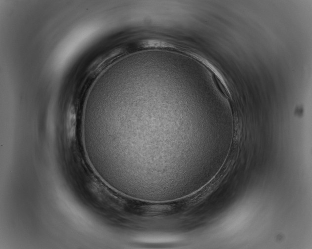 X0000100471151200806201601