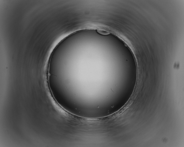 X0000100471152200806201601