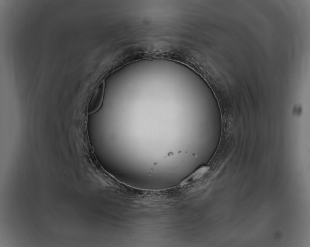 X0000100471153200806201600