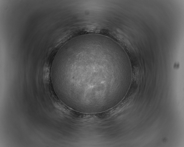 X0000100471154200806201600