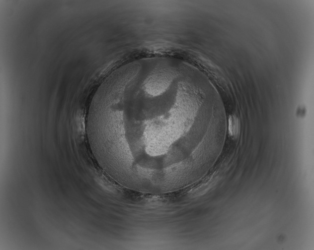 X0000100471155200806201600