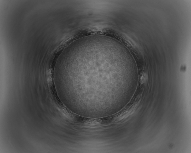 X0000100471156200806201600