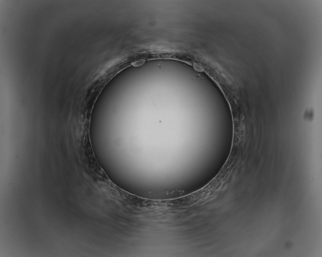 X0000100471157200806201600