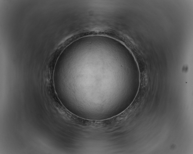 X0000100471158200806201600