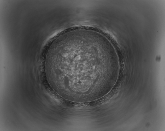 X0000100471159200806201600