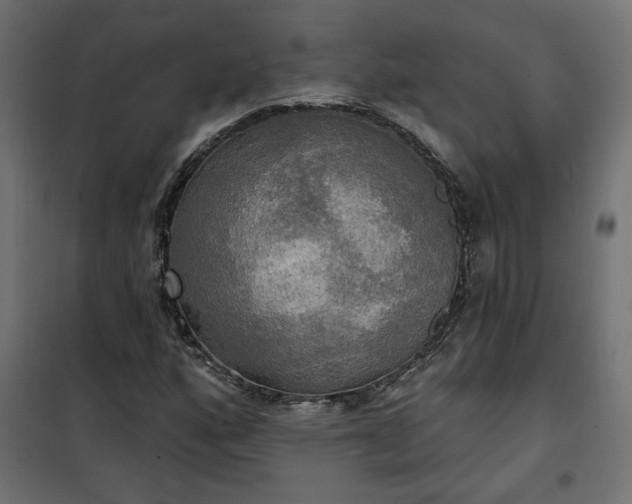 X0000100471160200806201600