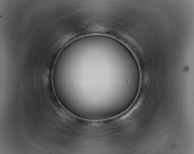 X0000100471161200806201600