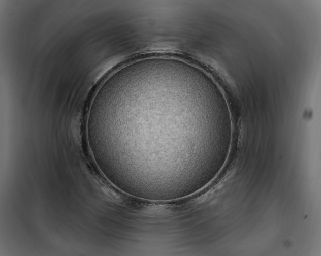 X0000100471162200806201600